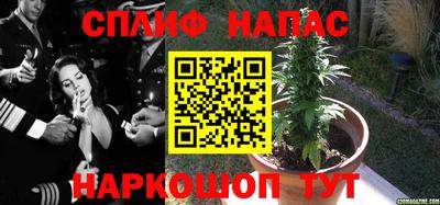 прущие грибы Азнакаево