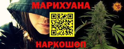крисы Абакан