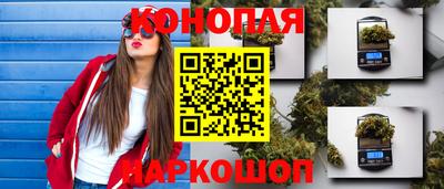 крисы Абакан