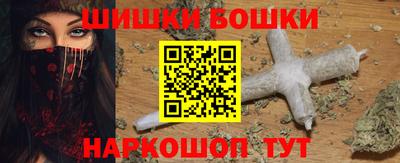 крисы Абакан