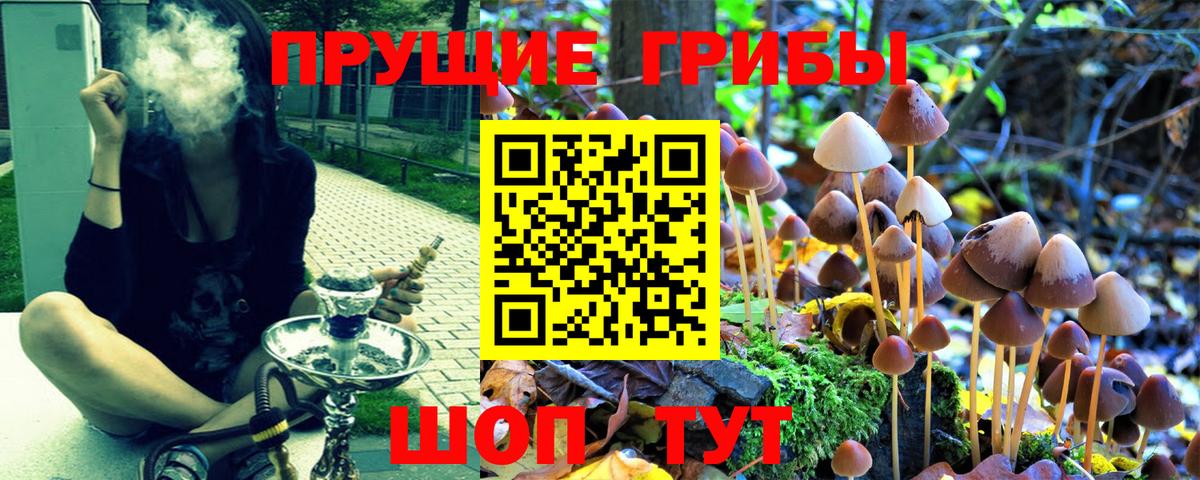 Галлюциногенные грибы Cubensis Амурск