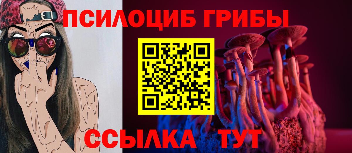 Амурск  Псилоцибиновые грибы ЛСД  Вход с VPN 